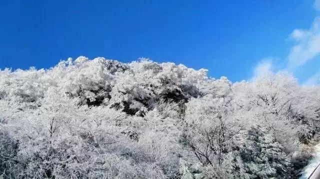 拯救老科学家