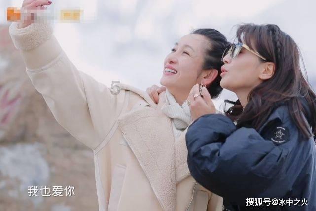 萌宠大连接